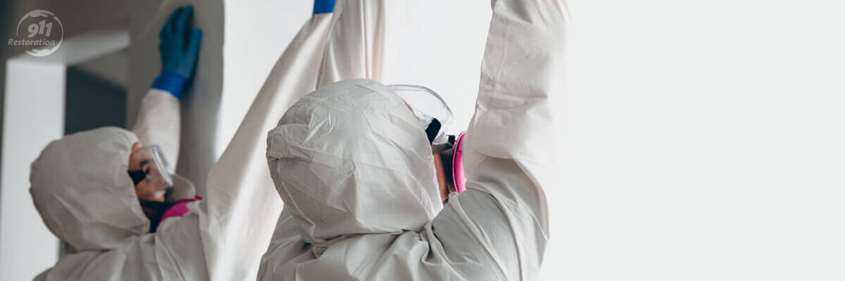 Mold Removal in South Bay SF